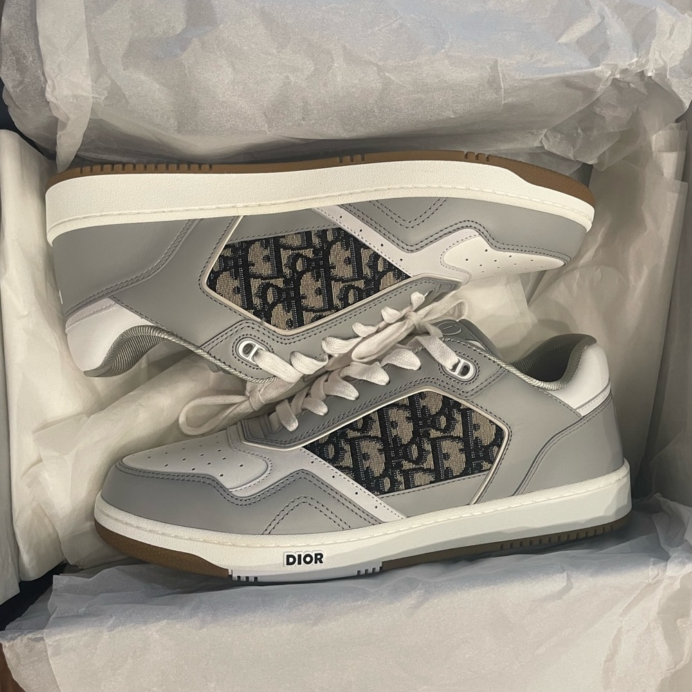Dior B27 Low
Gray White